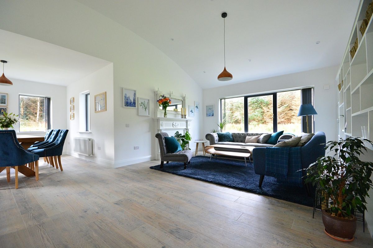 Interior Project 5 - Large Openplan